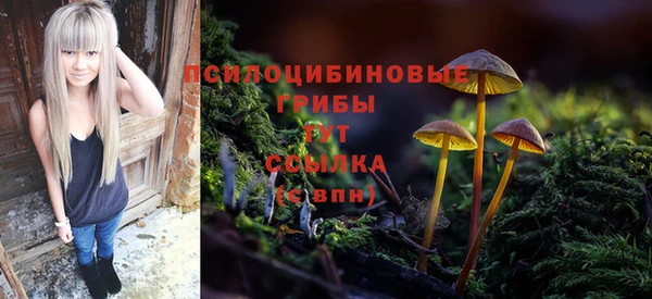 мескалин Баксан