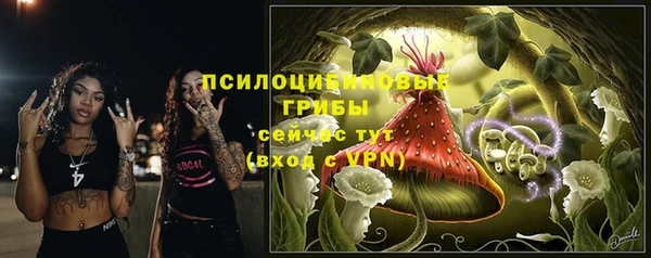 мескалин Баксан